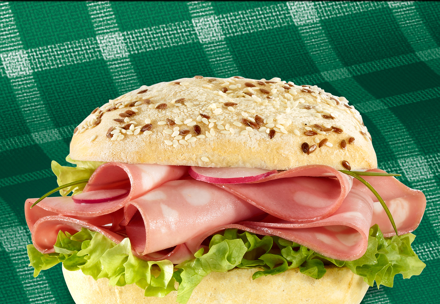 PANINO-MORTADELLA-3-18530