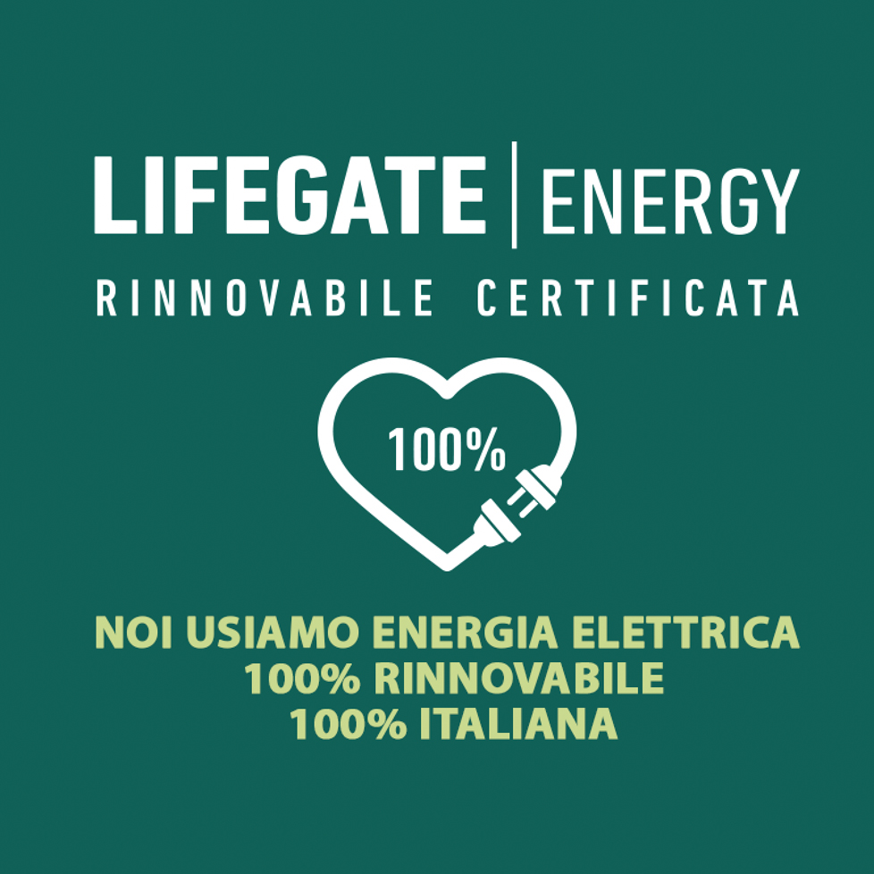news_lifegate-energy