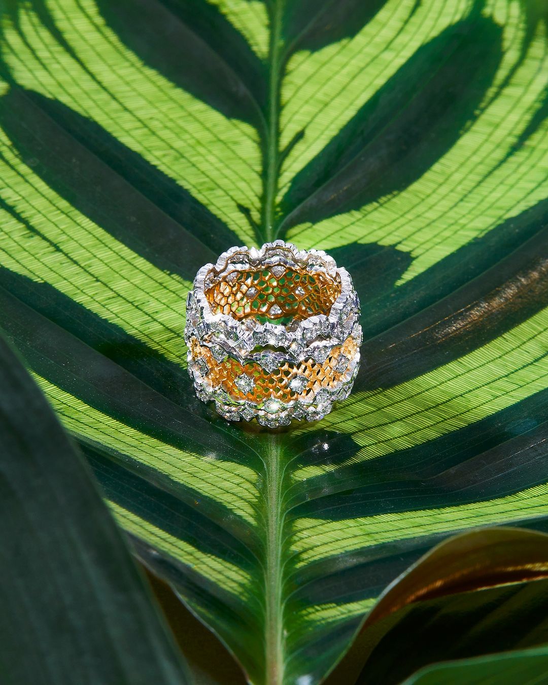 BUCCELLATI – 03