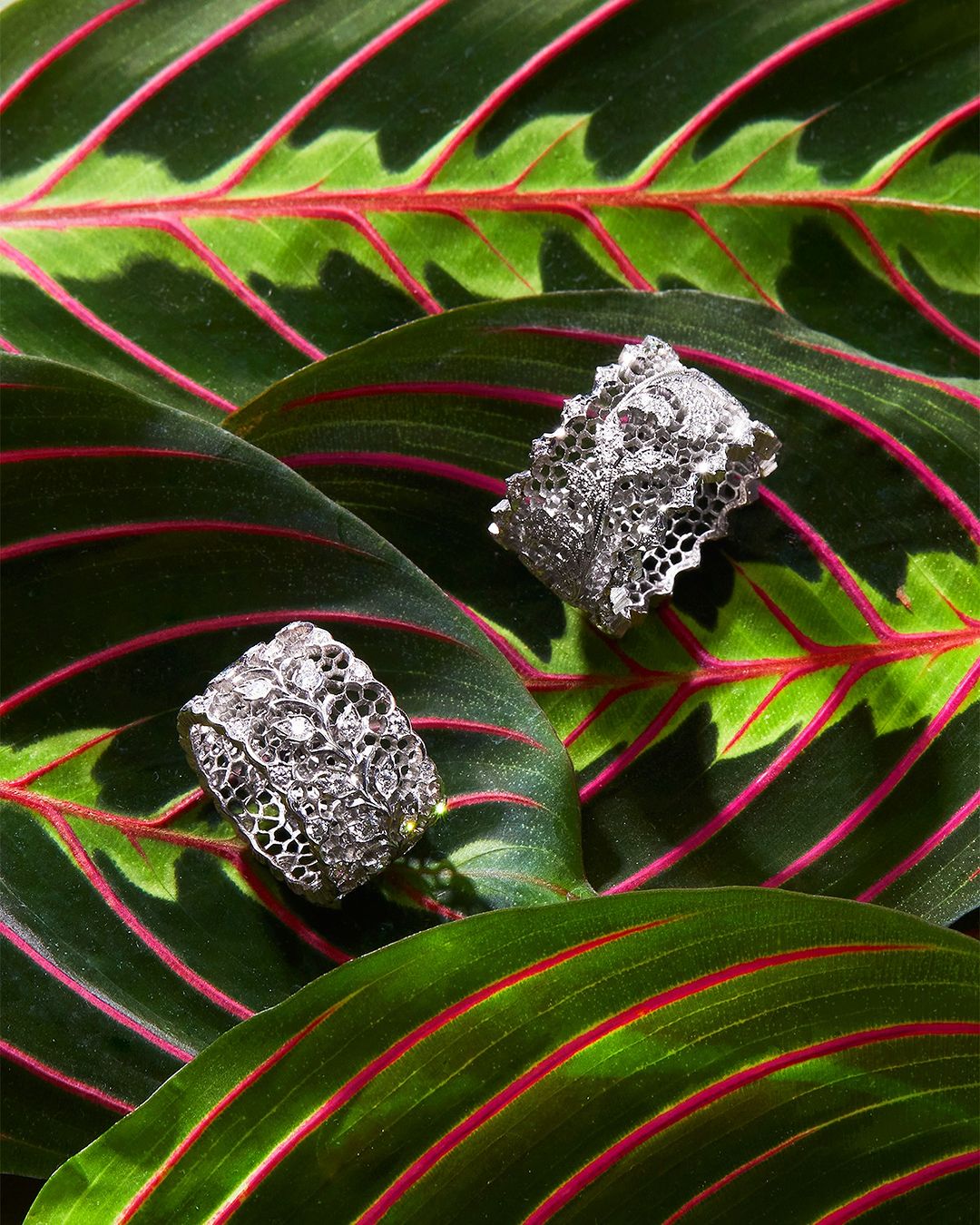 BUCCELLATI – 18