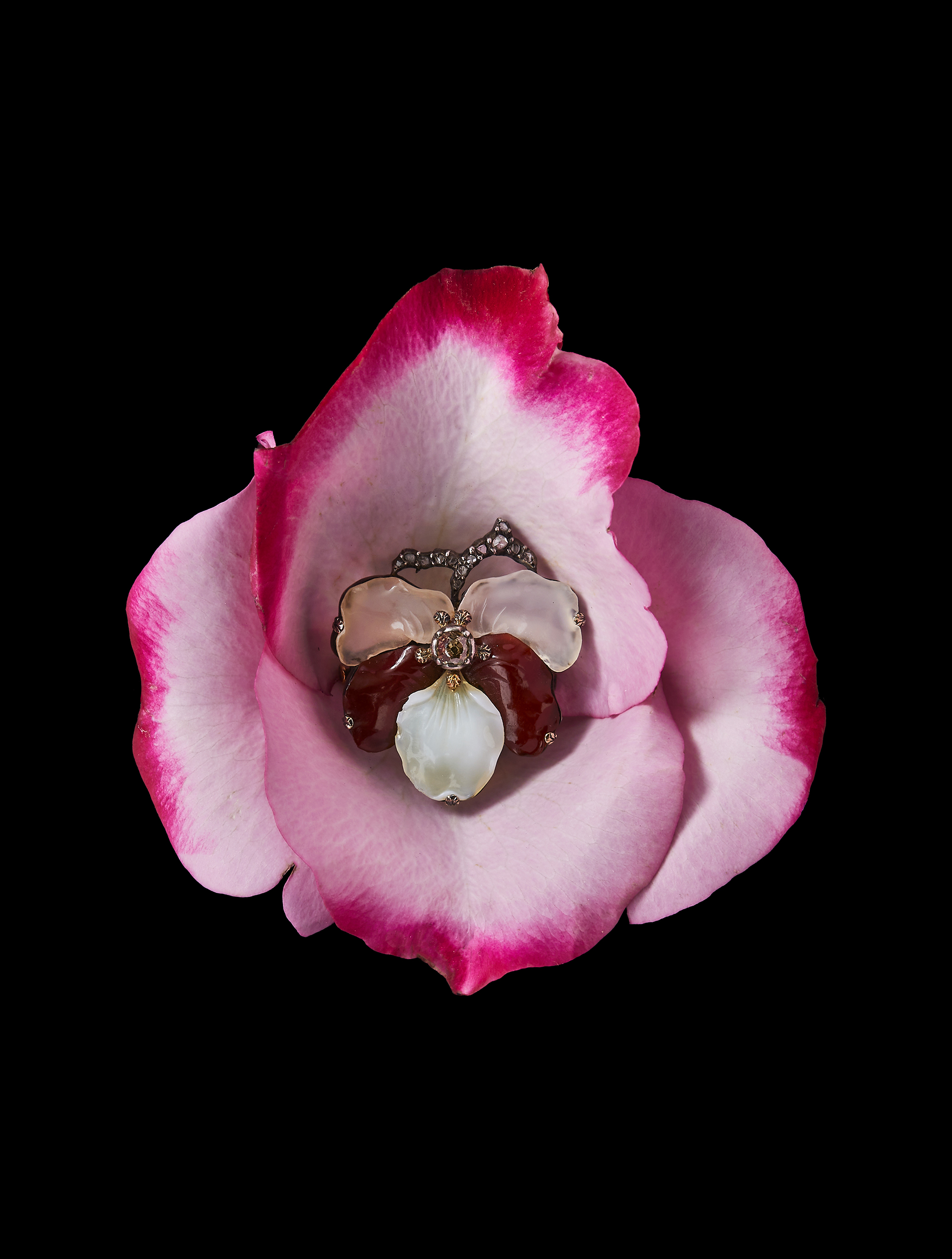 FIORI_BUCCELLATI_3
