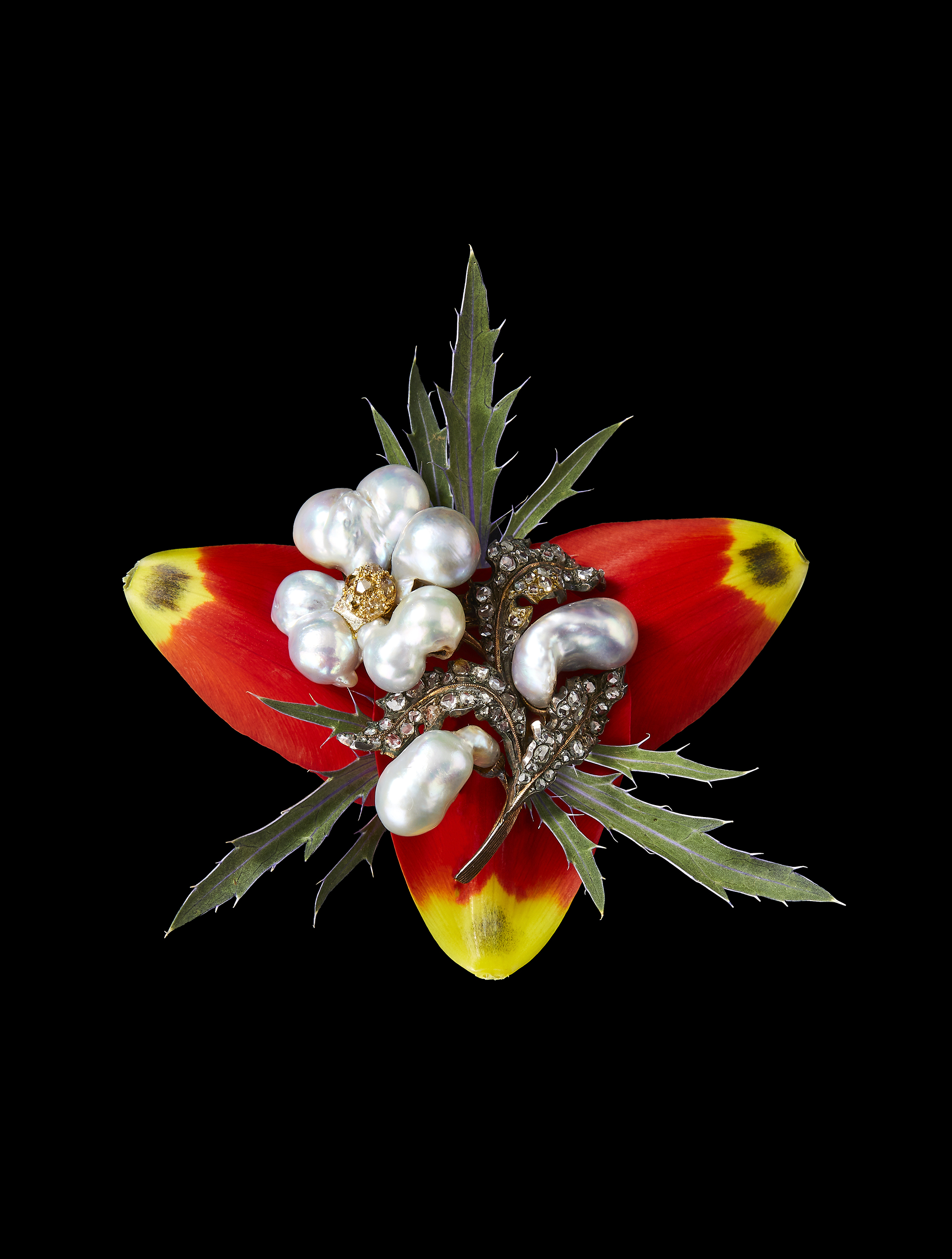 FUORI_BUCCELLATI_1