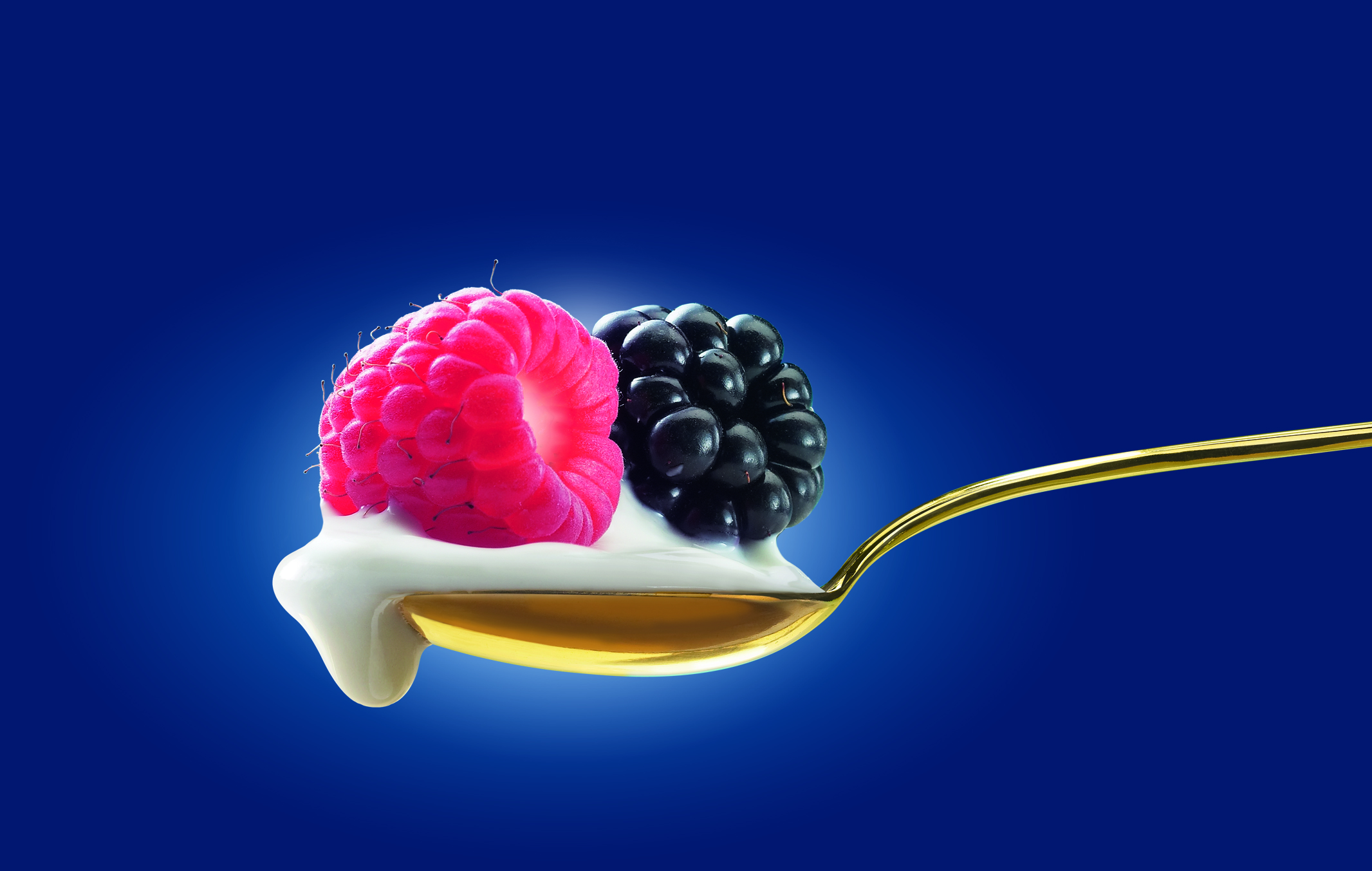 MULLER MORE E LAMPONI