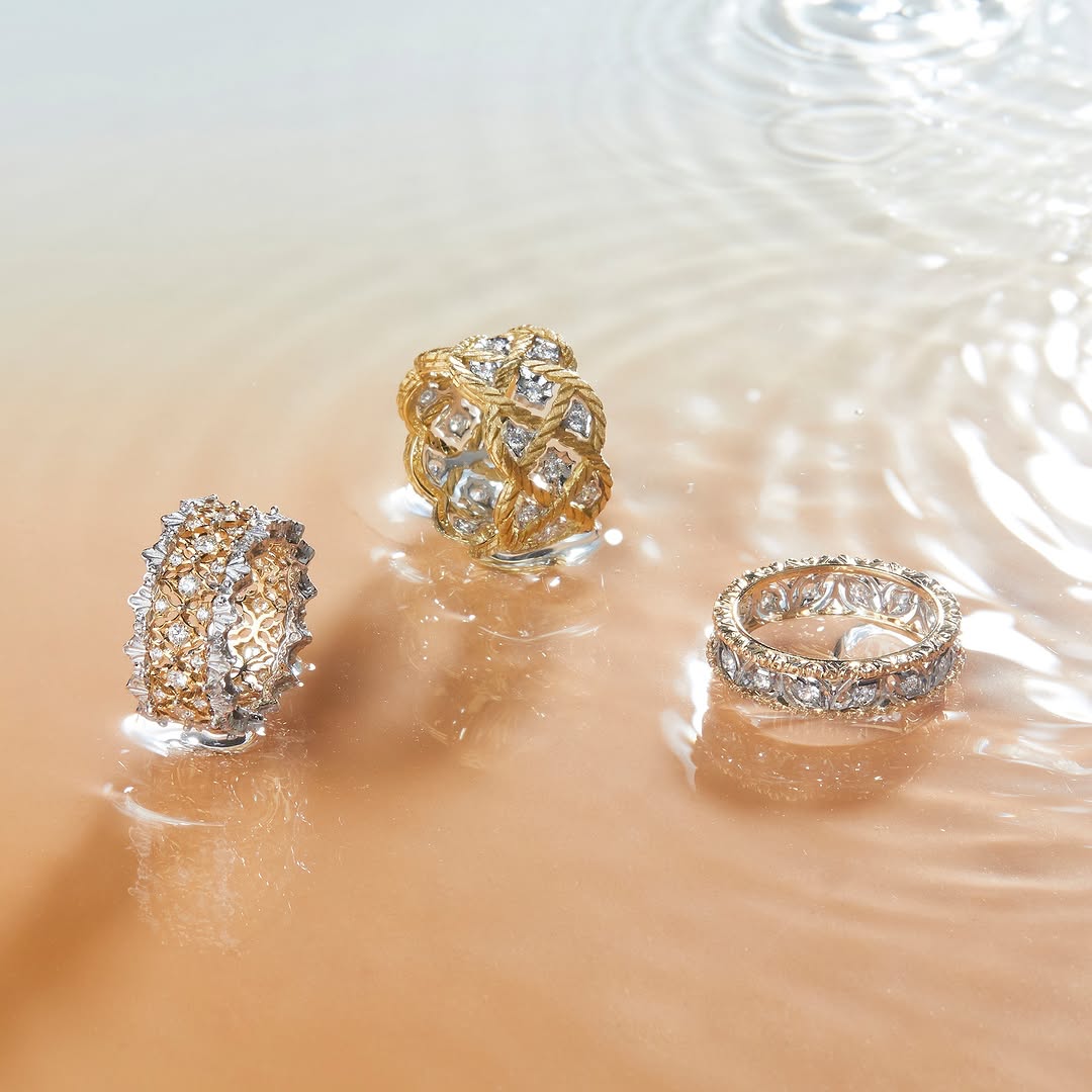 486232358_1058258233004353_5065916873032885578_n