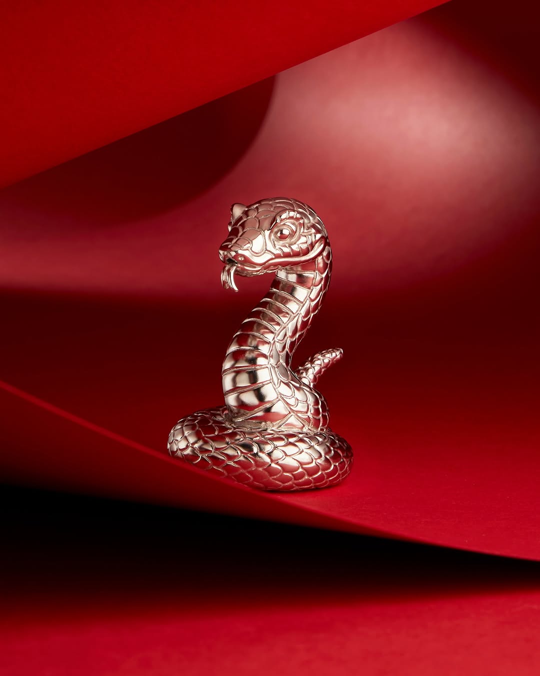 487299494_1063174579179385_6865054572785699049_n