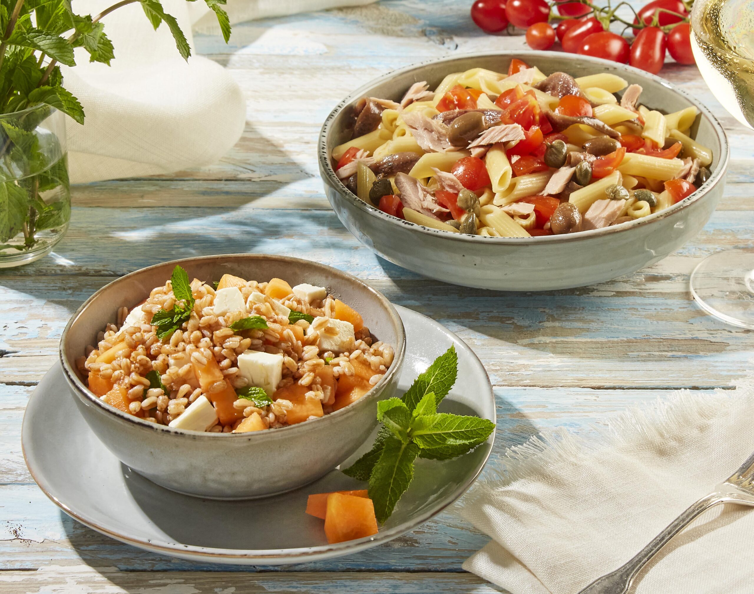 SCATTO 12-6221 copia