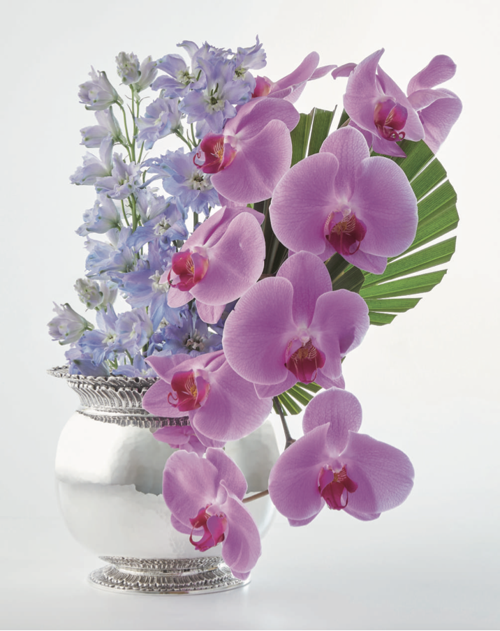 Screenshot 2026-03-11 alle 10.15.10